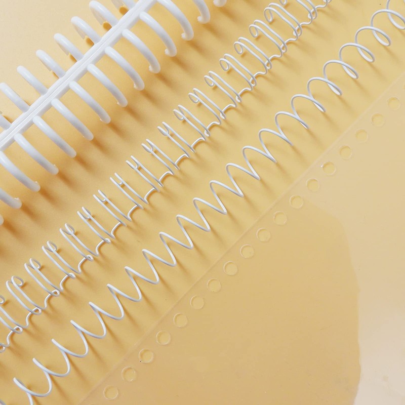 RAYSON PP Binding Covers, 300-micron, A4, Polypropylene Plastic Binder Covers