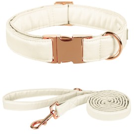 Lionet Paws Silk Dog Collar and Leash Set, Adjustable Comfortable White Dog Collar with Metal Buckle for Small Medium Large Dog Boy Girl Gift, Neck 16-24 Inches