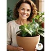 16 Oz Plant Watering Globes for Indoor Plants with Metal