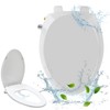 PREMEXA Bidet Toilet Seat for Elongated Toilets, Non-Electric, Dual Nozzle,