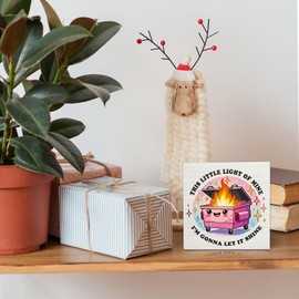 OVAcational Pink Funny Dumpster Decor Wooden Signs,Fire Decorations For Home Wooden Box Sign,Inspirational This Little Light Of Mine For Home Office Shelf Table Decor 5x5 Inches