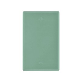 Sage Green Blank Device Wall Plate Light Switch Plates Electrical Outlet Covers Kitchen Home Decor H4.53 xL2.76 inch