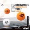 GEWO 3 Star Handy Pack of 12 Table Tennis Balls,