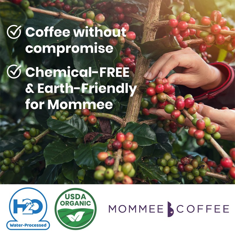 Mommee Coffee - Decaf | Low Acid, Organic, Fair Trade,
