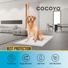 COCOYO COCOYO Best Value Training Pads, 22" by 22", 100Count