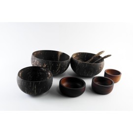 IAMSIAMZ Natural Coconut Bowls: Handcrafted & Sustainable Kitchenware Set with Wooden Spoons (Set of 3 Coconut Bowls + 3 dip bowls)