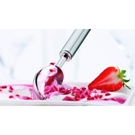 Rosle 20.5 cm Ice Cream Scoop