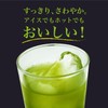 SaintEX SUPERGREEN（サンテグ スーパーグリーン）ダイエットサポート＆スポーツ 青汁 国内産有機緑葉 粉末 海洋深層水ミネラル 乳酸菌 クエン酸 3g×25袋,