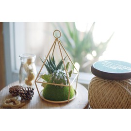 Kishima KH-61068 KH-61068 Eklia Deodorizer, Artificial Green, Hanging Type