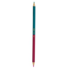 BIC Lápices de Colores Evolution Bicolor Colores Intensos Punta Resistente Madera Surtido de Colores 24 Piezas
