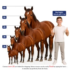 Horse 3FT Life Size Cardboard Cutout – A Fun Animal Standup for Photo Booths, Birthday Parties, and Events