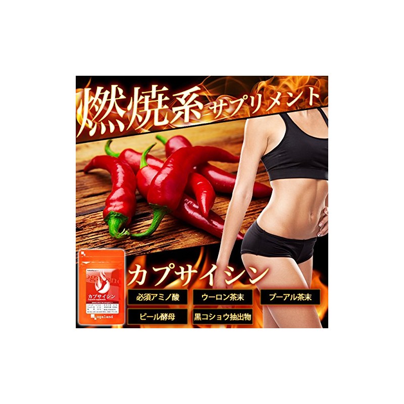 お徳用カプサイシン (540粒/約6ヶ月分)【123000110053102】