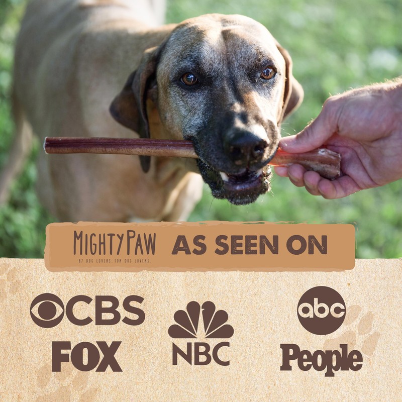 Mighty Paw Long Lasting 12" Bully Sticks for Dogs -