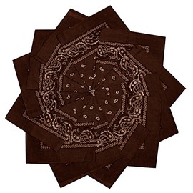 TZ Promise 12 Pack 100% Cotton Paisley Bandana Head Wrap (Brown)