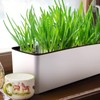 Skelang 2-Pack Self Watering Planter, Rectangle Flower Pot with Water