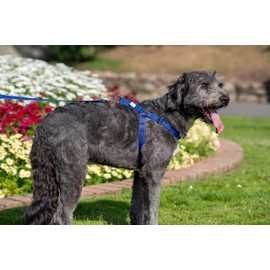 Gencon Walk-through Harness Large Red