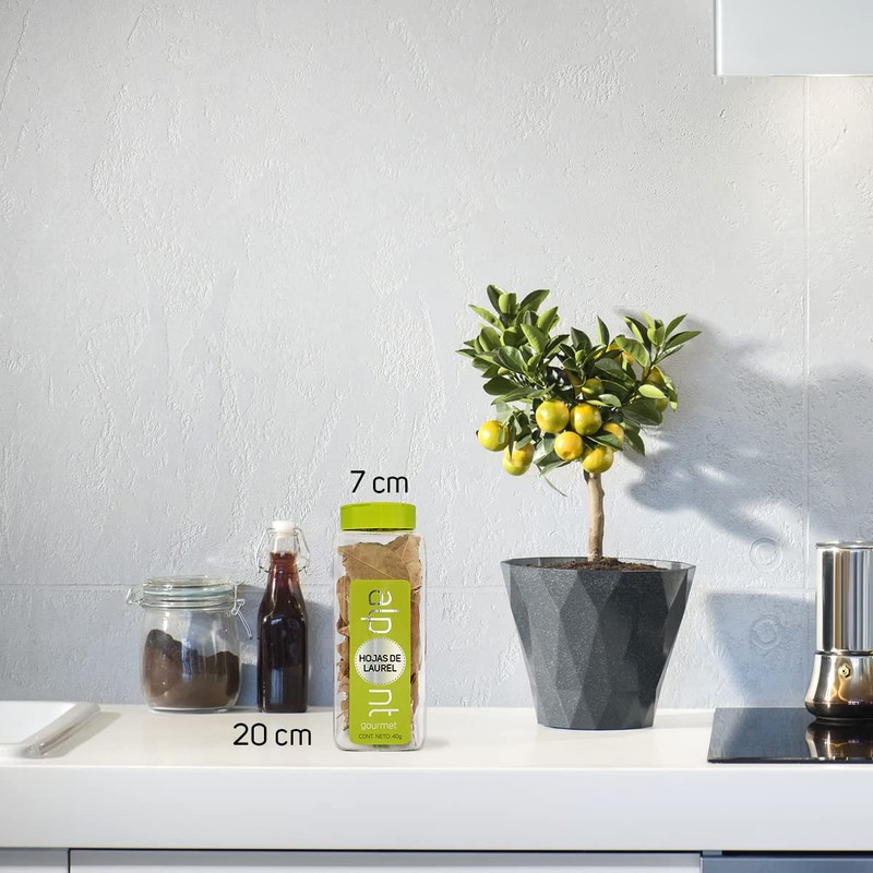 ALPONT GOURMET Hojas de Laurel, 40 g