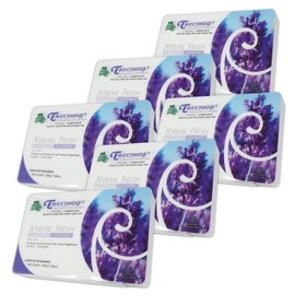Auto Dynasty TreeFrog Xtreme Fresh Under-The-Car Natural Air Freshener, Lavender Scented, Pack of 6