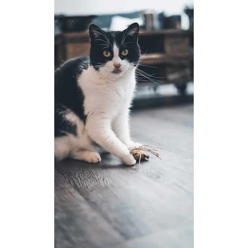 Aime 9cm Natural Cork Cat Toy with Catnip for Claws