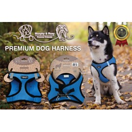 Murphy & Roxy No-Pull Dog Harness – Adjustable Vest Harness with Reflective Trim for Small Dogs – Heavy-Duty and Comfortable for Walking, Training for Pets, Blue (Size S)