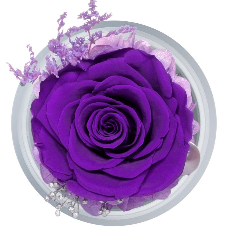 Sunia Preserved Flower Birthday Gifts for Mom, Forever Rose Daughter