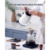 DmofwHi Gooseneck Electric Kettle(1.0L),1000W Electric Tea Kettle of 304 Stainless
