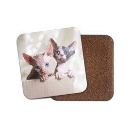 1 x Sphynx Cats Coaster - Cat Kitten Siamese Cute Blue Eyes Mum Auntie #15274