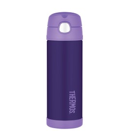 Thermos, Purple Funtainer 16 Ounce Bottle, Size