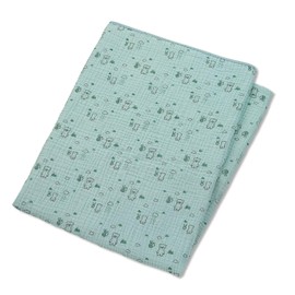 Sterntaler Bear Ben Muslin Comforter Blanket for Babies from Birth 120 x 120 cm Light Green