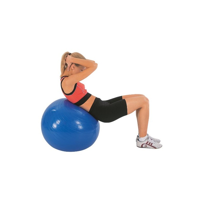 キャプテンスタッグ(CAPTAIN STAG) フィットネスボール 55cmポンプ付 ブルー MH-6947