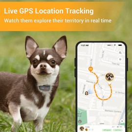 Pawfit Lite for Dogs 4g GPS Tracker | Real Time Tracking | Activity Monitoring |Location History | Unlimited Range | Safety Collar Included | Onyx Black