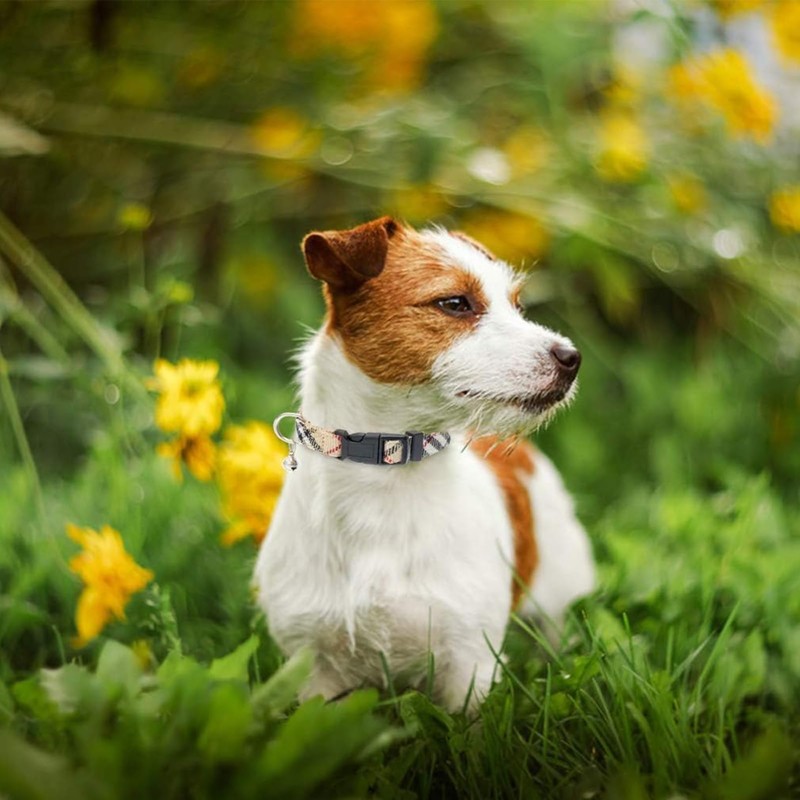 PUPTECK 犬 ハーネス リード セット 犬用 胴輪 ソフト マジックテープ付き 反射素材付き