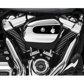 Flip Off Air Cleaner Cover Insert by Kustom Cycle Parts. Replaces Stock Harley Davidson M8 / 107 Insert. Proudly Made in The USA