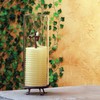 Candle by the Hour 80-Hour Citronella Candle, Glass Cylinder, Eco-friendly