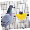 Generic 2sets Automatic Water Holder for Pigeons and Small Birds