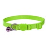 Vibrant Soft Nylon Kitten/Cat Collar with Bell and Safety Release