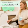 FreshExit Toilet Deodorizer Tablets – Drop One In and Go