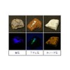 Fluorescent Mineral Specimen Set've 10 Seeds