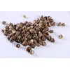 Chinese Herb Moringa OLEIFERA Seed 16 OZ 辣木籽