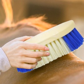 Horse Brushes for Grooming - Horse Scrubber Shedding Brush - Hard Bristles, Multifunctional Pet Products for Equine Care, Bovine, Livestock, Cleaning