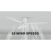 Carro 52 Inch Ceiling Fan without Lights Flush Mount, Small