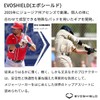 EVOSHIELD WTV12JPBLLHH Leg Guards Baseball Protective Gear Leg Guards for