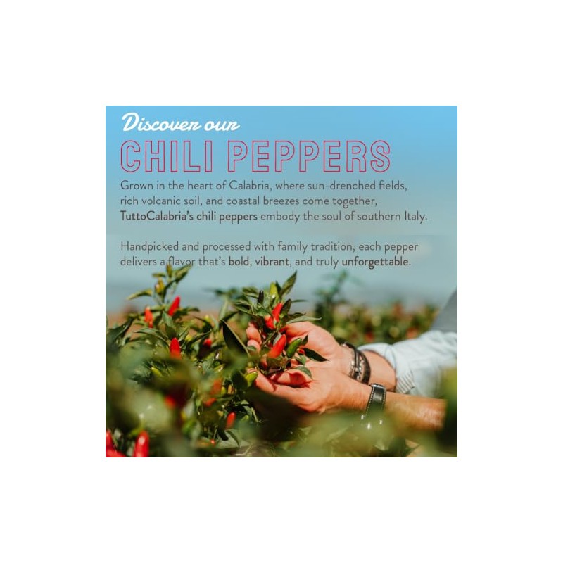 TUTTOCALABRIA Round Calabrian Cherry Peppers in Oil, 10.2 oz (290 g), Extra