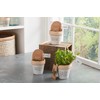 Mud Pie Planter Set
