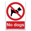 No dogs Sign - A5 1mm Rigid Plastic Sign -