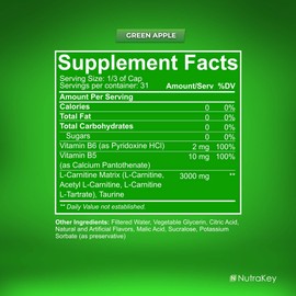 NutraKey L-Carnitine 3000mg, No Sugar, Gluten Free, Turn Into Fuel, (Green Apple) 31 Servings