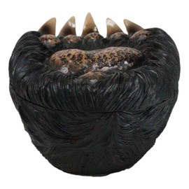 Ebros Gift Rustic Western Woodlands Forest Black Bear Long Claws Paw Decorative Trinket Jewelry Box Figurine 6.25" Long Cabin Mountain Lodge Cottage Bears Sculpture