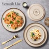 E-far 10.5” Ceramic Dinner Plates Set of 6, Large Reactive