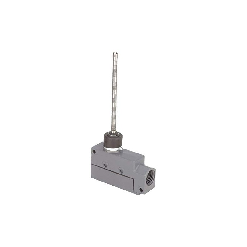 Dayton 12T924 Enclosed Limit Switch, SPDT, Omnid, Wobble