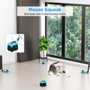Pet Deluxe Interactive Cat Toy for Indoor Cats, Auto/Remote Control
